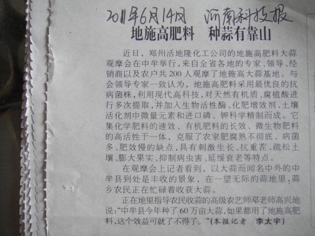 河南科技报：地施高肥料，种蒜有靠山